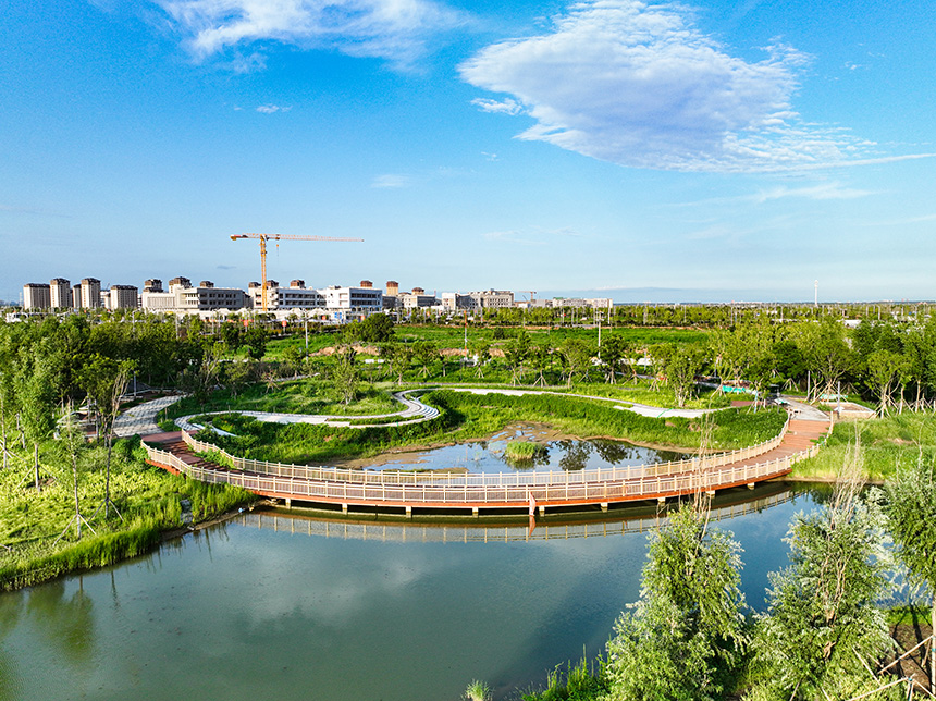 航拍雄安新區(qū)啟動區(qū)中央綠谷景色。胡忠攝