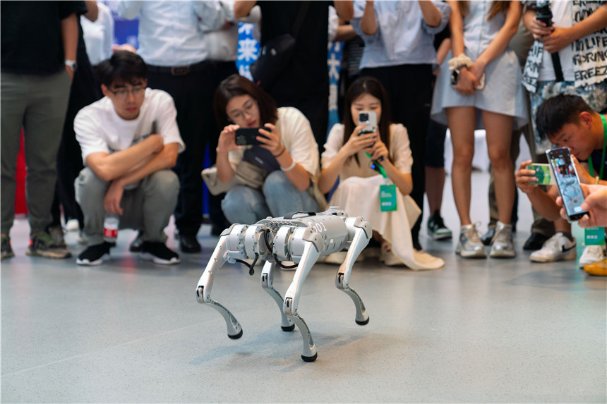 雄安國(guó)際服務(wù)機(jī)器人大賽決賽現(xiàn)場(chǎng)。吳本旭攝