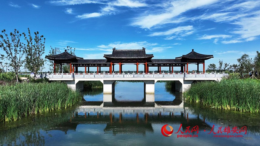 白洋淀燕南堤風光。人民網記者 李兆民攝