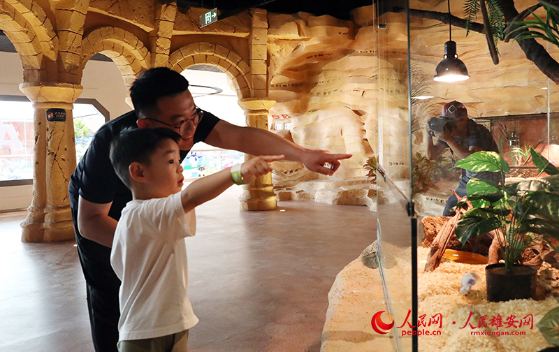 15月1日，在雄安商務(wù)服務(wù)中心尋環(huán)XLOOP，家長正在帶小朋友參觀、認(rèn)識爬寵。人民網(wǎng)記者 宋燁