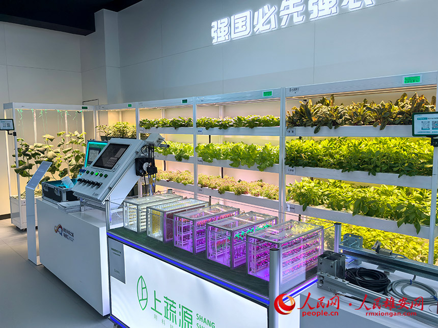 智慧農業體驗區。人民網記者 王紅攝
