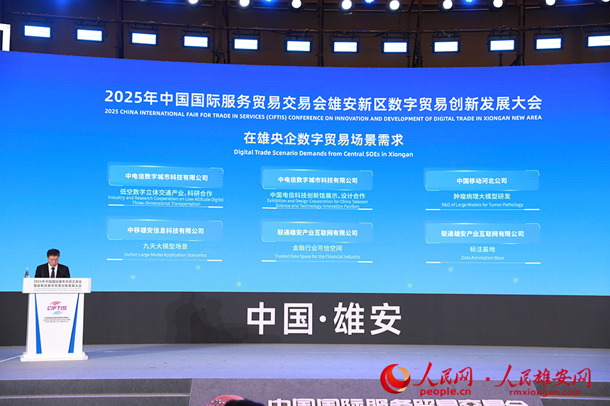 在雄央企數字貿易場景需求發布。人民網記者 宋燁文攝
