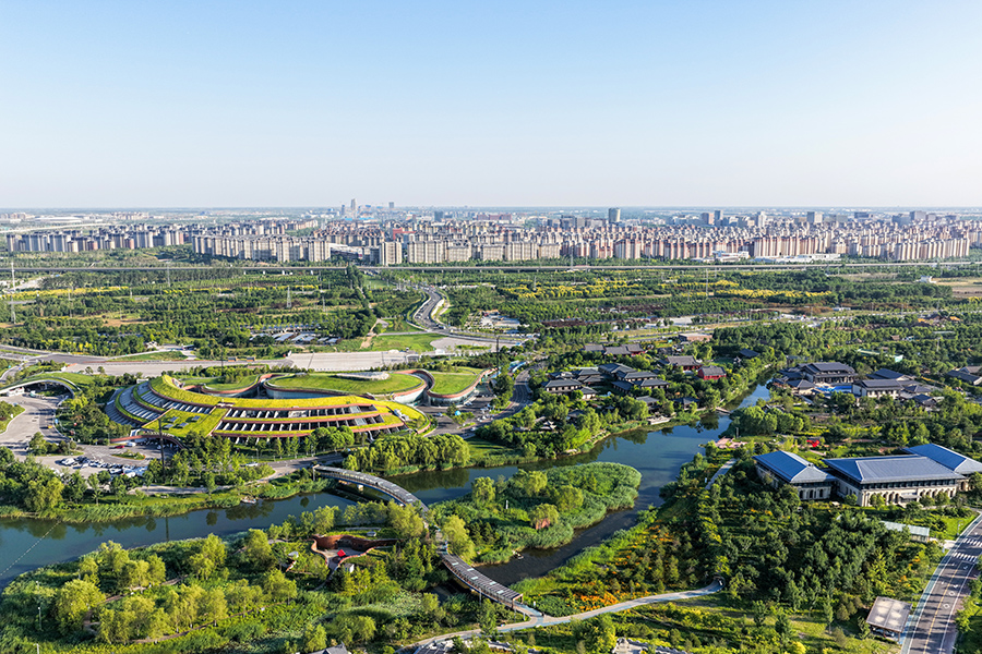 雄安郊野公園。胡忠攝