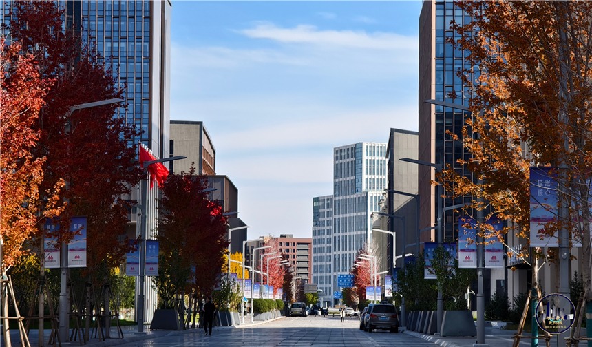 9深秋?容東_副本