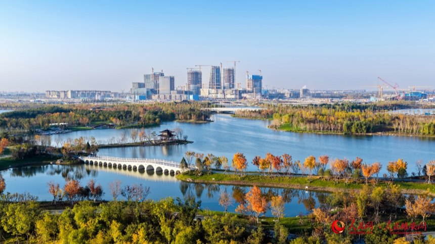 DJI_20251102161347_0154_D_副本