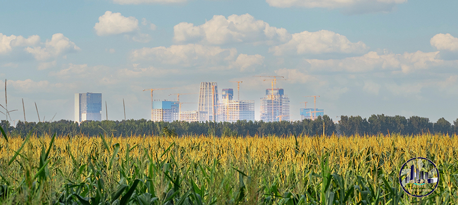 雄安新區(qū)啟動區(qū)。金瀟楠攝