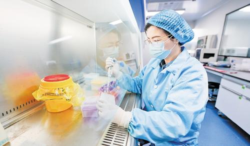 11月21日，在雄安妙心生物科技有限公司基因檢測實驗室內，河北工程大學醫(yī)學院檢驗系教授王珍在進行病原微生物核酸提取工作。 本組圖片由本報見習記者李暢攝