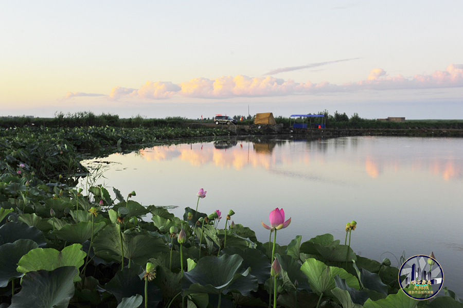 雄安新區(qū)雄縣楊莊子村。李雷鳴攝