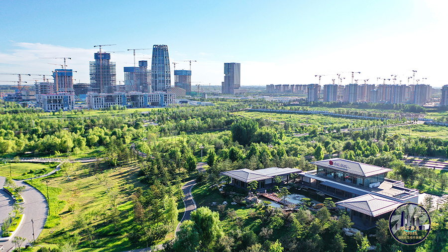 雄安新區(qū)啟動區(qū)。周龍山攝