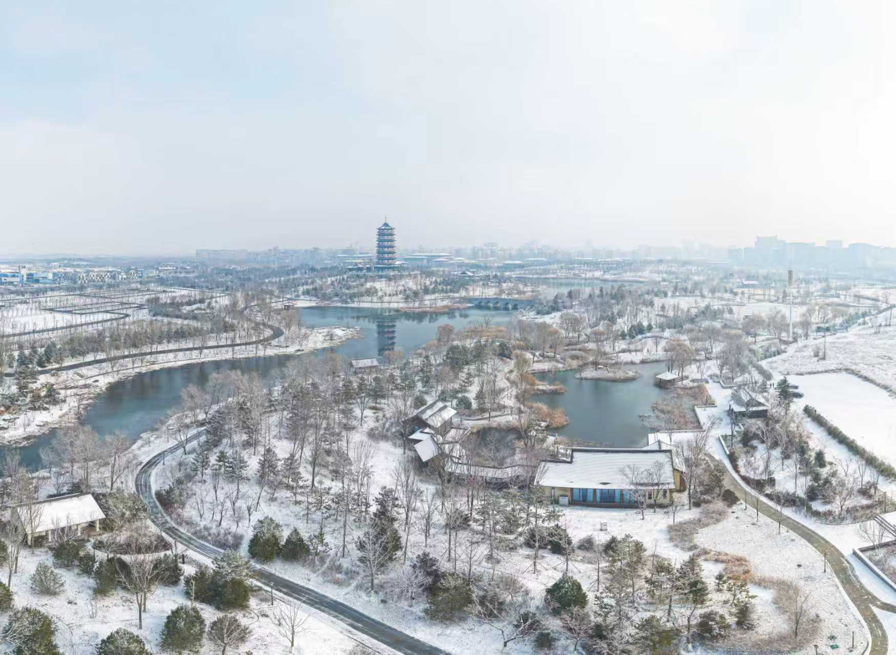 雄安悅容公園。胡忠攝